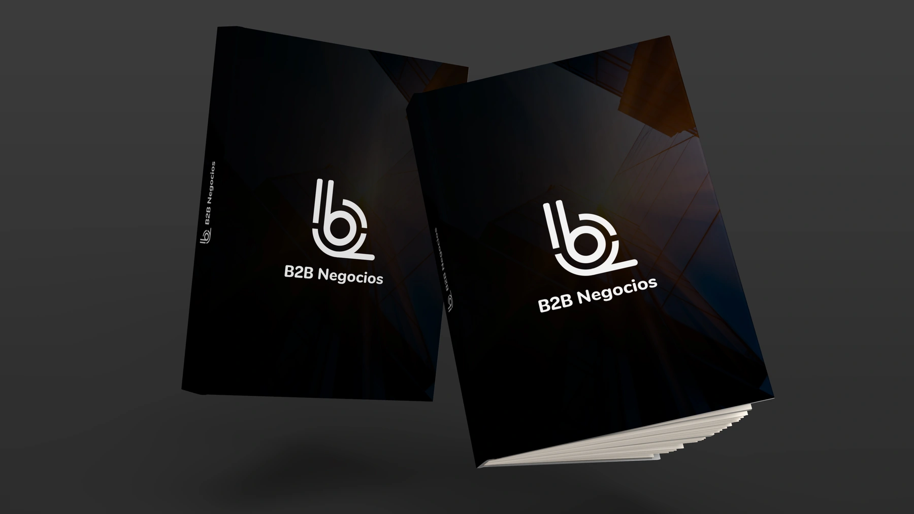 B2B Negocios — Identidad aplicada