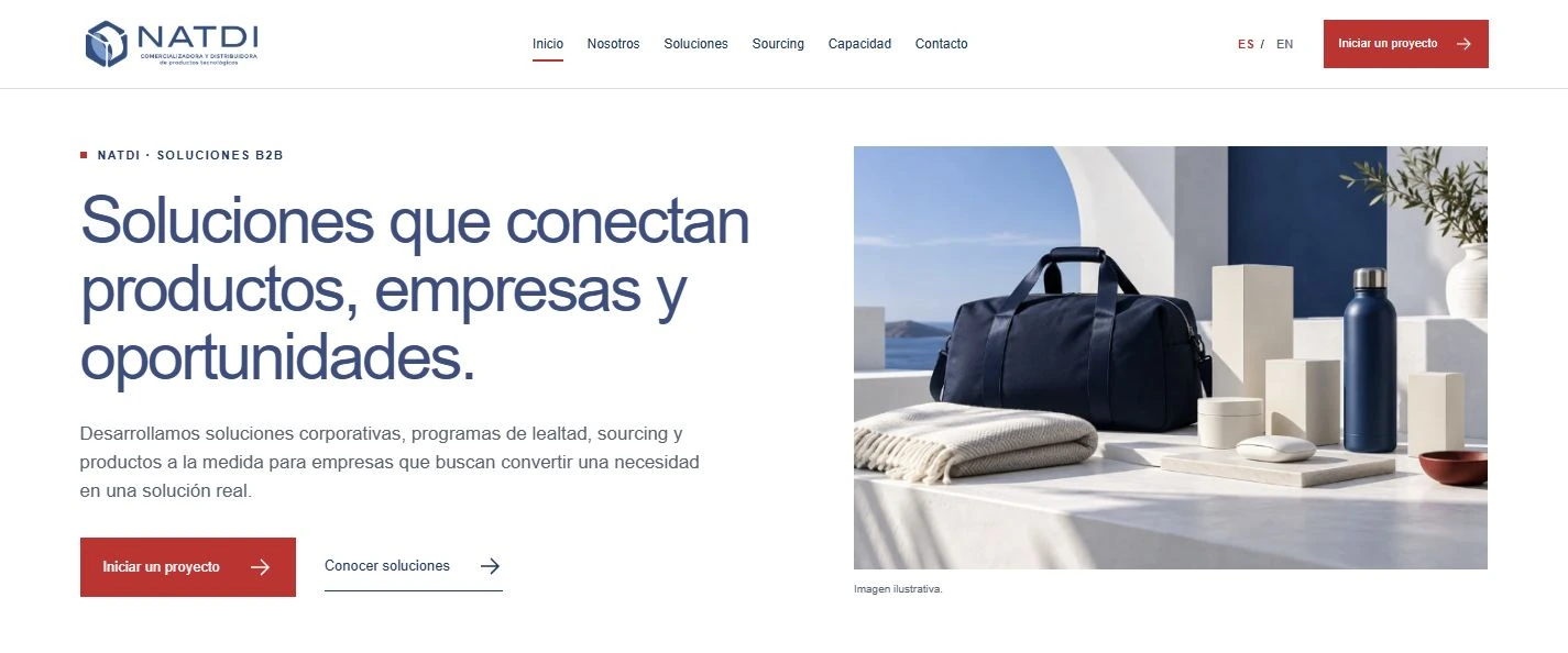NATDI — Diseño web